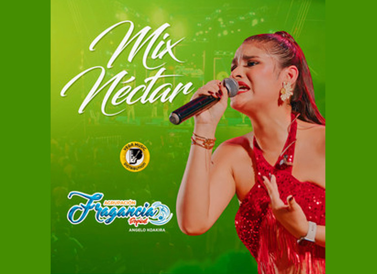 Mix te perdi por idiota